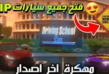 Driving School Sim مهكر