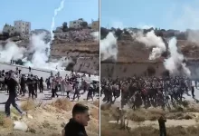 المظاهرات على الحدود مع فلسطين