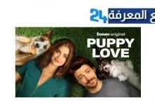 تحميل ومشاهدة فيلم puppy love مترجم بدقة HD كامل 2024