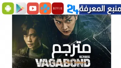 مشاهدة مسلسل الكوري the vagabonds مترجم
