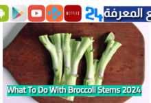 What To Do With Broccoli Stems 2024