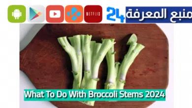 What To Do With Broccoli Stems 2024