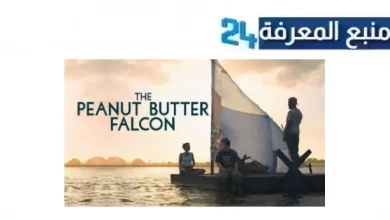 مشاهدة فيلم the peanut butter falcon مترجم HD ماي سيما ايجي بست
