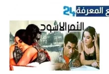 مشاهدة وتحميل فيلم النمر الاسود بطولة احمد زكي بجودة HD كامل dailymotion